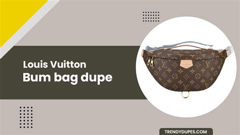 temu louis vuitton dupe|louis vuitton bum bags dupe.